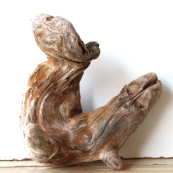 Treibholz Schwemmholz Driftwood 1 knorrige  Wurzel  19 cm hoch