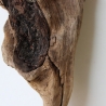 Treibholz Schwemmholz Driftwood 1 kleine  Skulptur  23 cm 