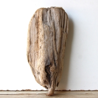 Treibholz Schwemmholz Driftwood 1 knorrige   Skulptur  25 cm 
