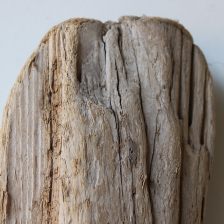 Treibholz Schwemmholz Driftwood 1 knorrige   Skulptur  25 cm 