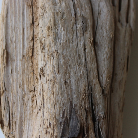 Treibholz Schwemmholz Driftwood 1 knorrige   Skulptur  25 cm 