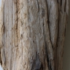 Treibholz Schwemmholz Driftwood 1 knorrige   Skulptur  25 cm 