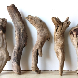 Treibholz Schwemmholz Driftwood 5 Hölzer Terrarium 29-38cm 