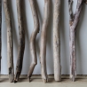 Treibholz Schwemmholz Driftwood 11 XL Äste 55-62 cm **PL1** 