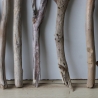 Treibholz Schwemmholz Driftwood 11 XL Äste 55-62 cm **PL1** 