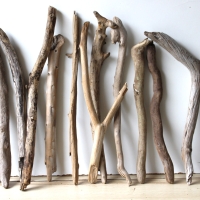 Treibholz Schwemmholz Driftwood 14  Äste 40-52 cm **PL2** 