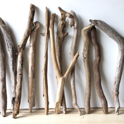 Treibholz Schwemmholz Driftwood 14  Äste 40-52 cm **PL2** 