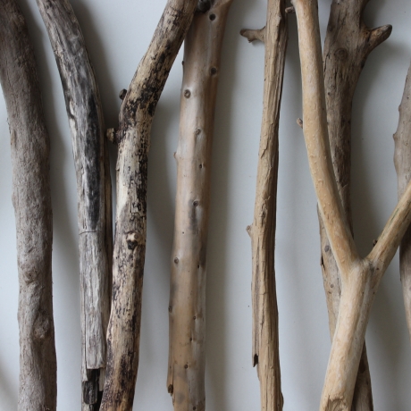 Treibholz Schwemmholz Driftwood 14  Äste 40-52 cm **PL2** 