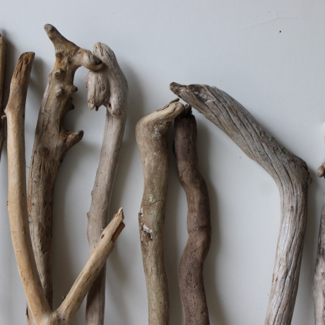 Treibholz Schwemmholz Driftwood 14  Äste 40-52 cm **PL2** 