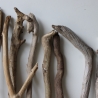 Treibholz Schwemmholz Driftwood 14  Äste 40-52 cm **PL2** 