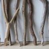 Treibholz Schwemmholz Driftwood 14  Äste 40-52 cm **PL2** 