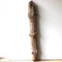 Treibholz Schwemmholz Driftwood 1 XXL Stamm  Terrarium 107  cm 