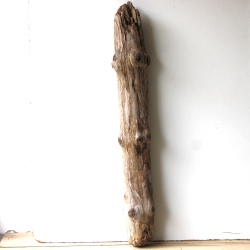 Treibholz Schwemmholz Driftwood 1 XXL Stamm  Terrarium 107  cm 