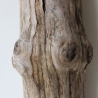 Treibholz Schwemmholz Driftwood 1 XXL Stamm  Terrarium 107  cm 
