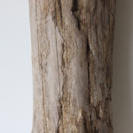 Treibholz Schwemmholz Driftwood 1 XXL Stamm  Terrarium 107  cm 