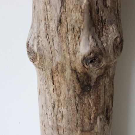 Treibholz Schwemmholz Driftwood 1 XXL Stamm  Terrarium 107  cm 