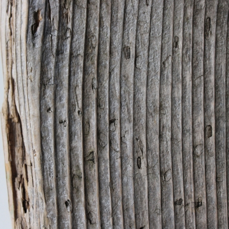 Treibholz Schwemmholz Driftwood  1 XXL  Brett Regal  82 cm  