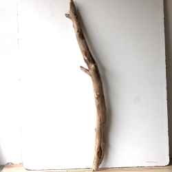 Treibholz Schwemmholz Driftwood 1 XXL Ast  Garderobe 116 cm 