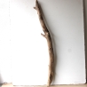 Treibholz Schwemmholz Driftwood 1 XXL Ast  Garderobe 116 cm 