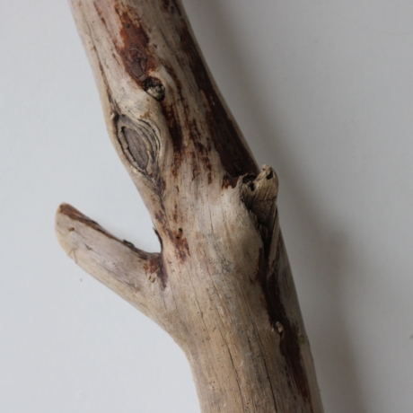 Treibholz Schwemmholz Driftwood 1 XXL Ast  Garderobe 116 cm 