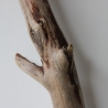 Treibholz Schwemmholz Driftwood 1 XXL Ast  Garderobe 116 cm 
