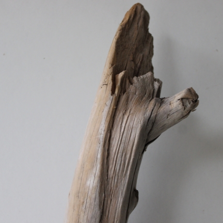 Treibholz Schwemmholz Driftwood 1 XXL Ast  Garderobe 116 cm 