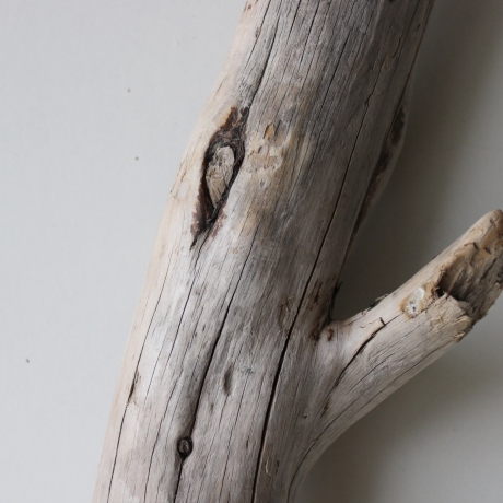 Treibholz Schwemmholz Driftwood 1 XXL Ast  Garderobe 116 cm 