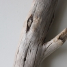 Treibholz Schwemmholz Driftwood 1 XXL Ast  Garderobe 116 cm 
