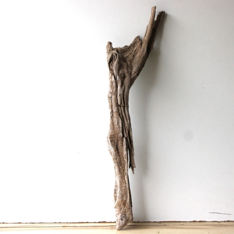 Treibholz Schwemmholz Driftwood 1 XL Skulptur  82 cm 