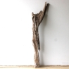 Treibholz Schwemmholz Driftwood 1 XL Skulptur  82 cm 