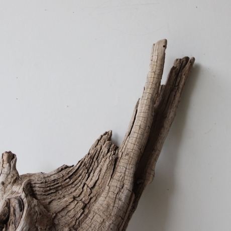 Treibholz Schwemmholz Driftwood 1 XL Skulptur  82 cm 