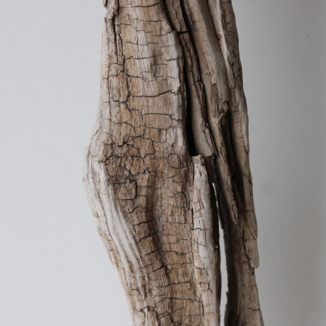 Treibholz Schwemmholz Driftwood 1 XL Skulptur  82 cm 