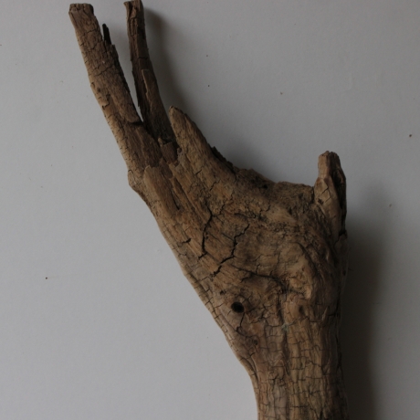 Treibholz Schwemmholz Driftwood 1 XL Skulptur  82 cm 