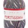 Fortissima color Autumn Walk 4-fädige Sockenwolle 100g