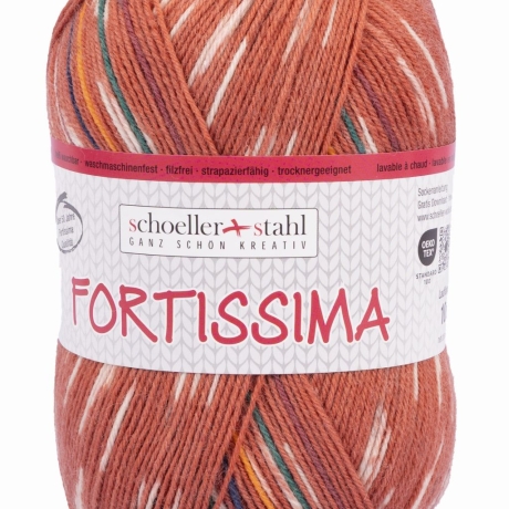 Fortissima color Autumn Walk 4-fädige Sockenwolle 100g