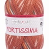 Fortissima color Autumn Walk 4-fädige Sockenwolle 100g
