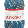 Fortissima color Autumn Walk 4-fädige Sockenwolle 100g
