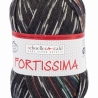 Fortissima color Autumn Walk 4-fädige Sockenwolle 100g