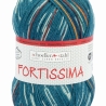 Fortissima color Autumn Walk 4-fädige Sockenwolle 100g