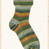 Opal Regenwald 20, 6-fädige Sockenwolle, Farbe 9780