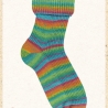 Opal Regenwald 20, 6-fädige Sockenwolle, Farbe 9787