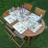 Tischset 4èr Set Pampas Style