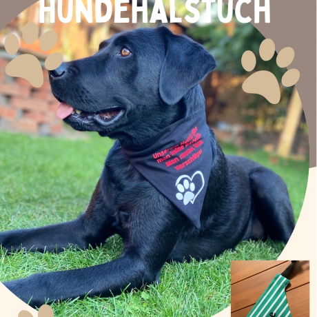 Hundehalstuch personalisiert