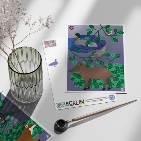 3 Postkarten Set A5 Animal Guide Berlin Grafikdesign Urban Nature
