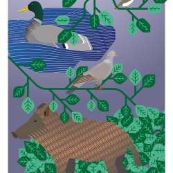 Postkarte A5 Animal Guide #2 Berlin Grafikdesign Urban Natur Tier