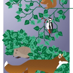 Postkarte A5 Animal Guide #1 Berlin Grafikdesign Urban Natur Tier