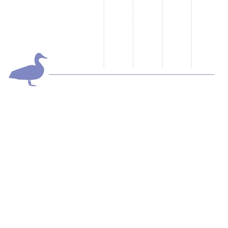 Postkarte A5 Animal Guide #2 Berlin Grafikdesign Urban Natur Tier