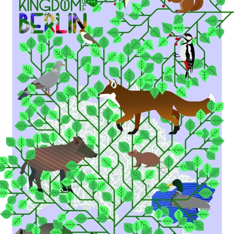 Poster A2 Animal Guide Berlin (Grafikdesign Urban Nature Tiere)