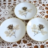 Vintage♥Rosenthal Teller-Set♥Design Schattenrose♥60er Jahre