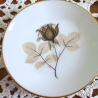 Vintage♥Rosenthal Teller-Set♥Design Schattenrose♥60er Jahre